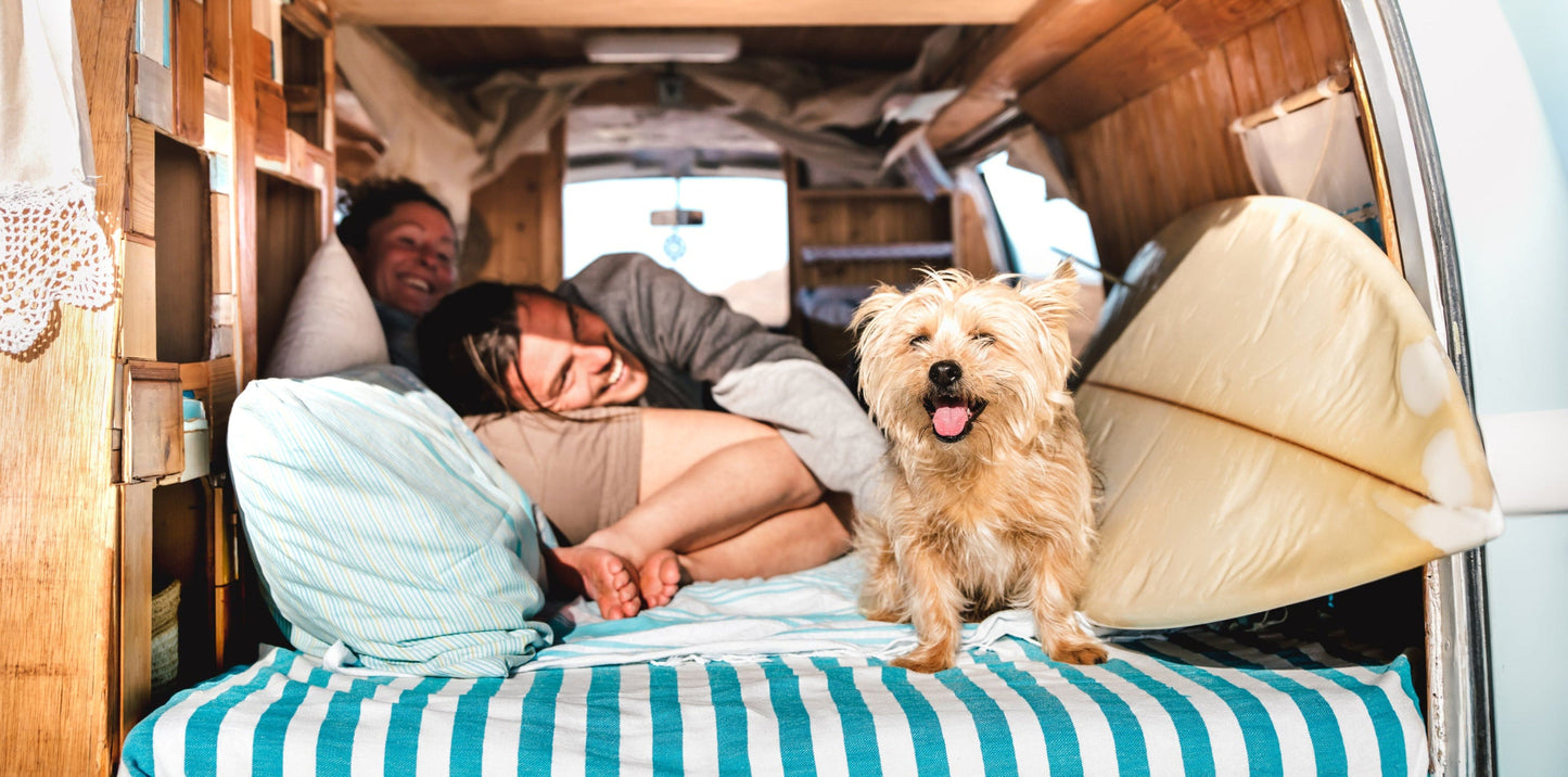 Annabelle’s Basic Topper 7 cm – ideal für Camping-Vans und Wohnmobile, mit VitaGlow-Bezug und 3D-Mesh für mobilen Schlafkomfort